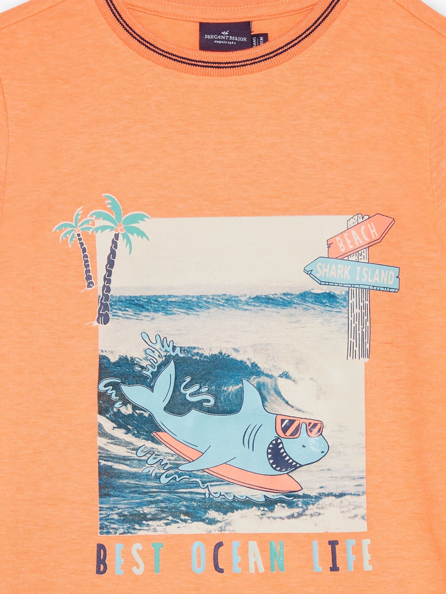 FLYCOAGE