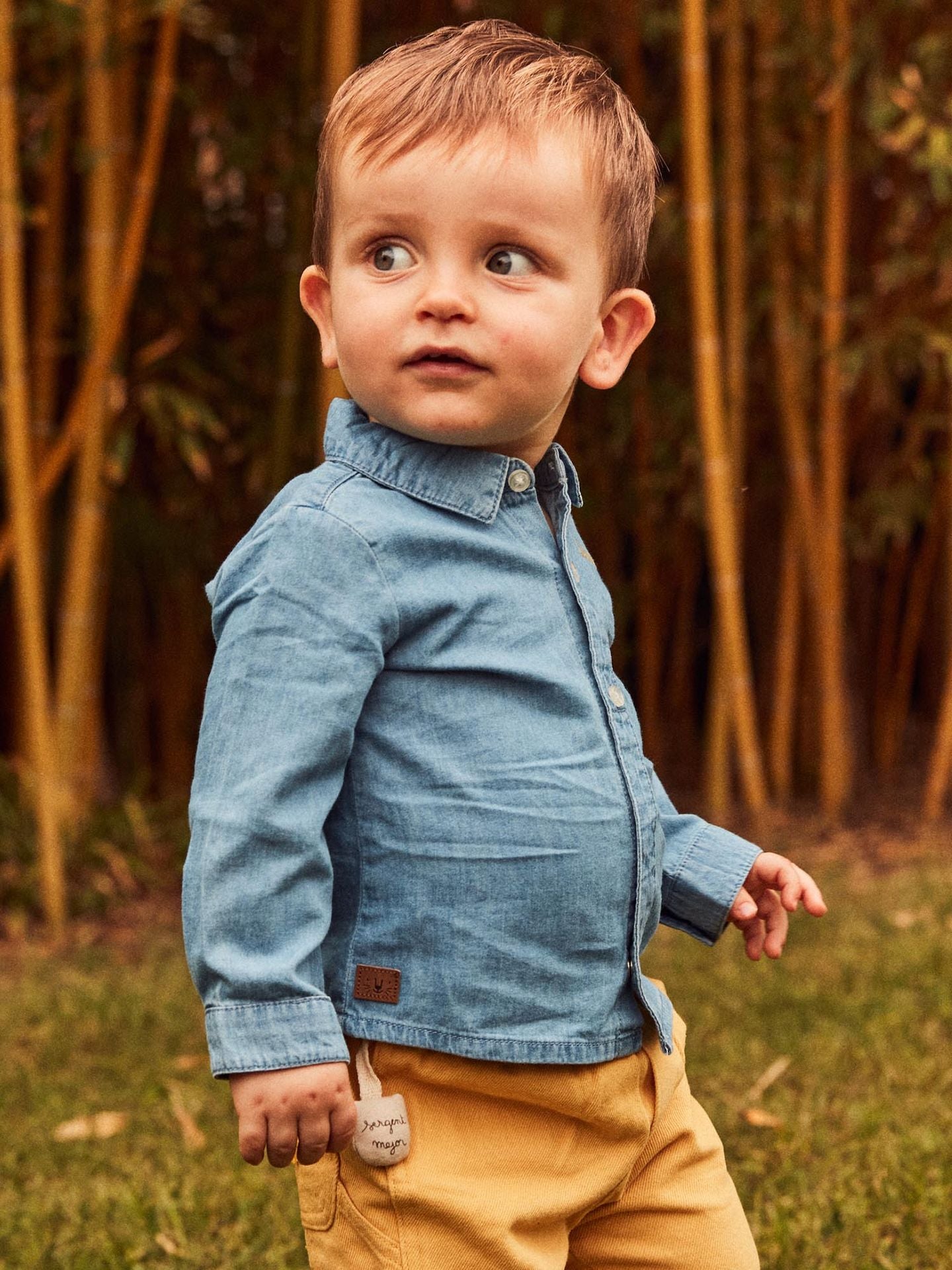 FAANTONIN